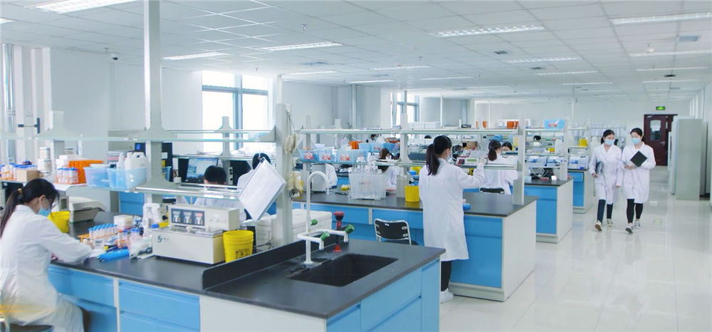 Research and development of reagent01